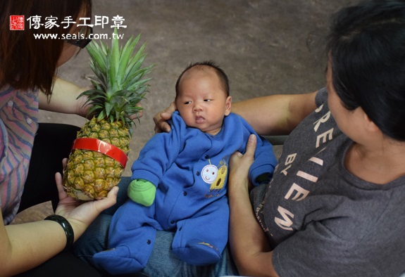 陳寶寶(台中龍井區到府嬰兒寶寶滿月剃頭理髮、免費到府嬰兒剃胎毛儀式吉祥話)。到府剃頭剃胎毛主持、專業拍照、DVD光碟、證書。★購買「臍帶章、肚臍章、胎毛筆刷印章」贈送：剃頭、收涎、抓周，三選一。2015.11.01 照片14